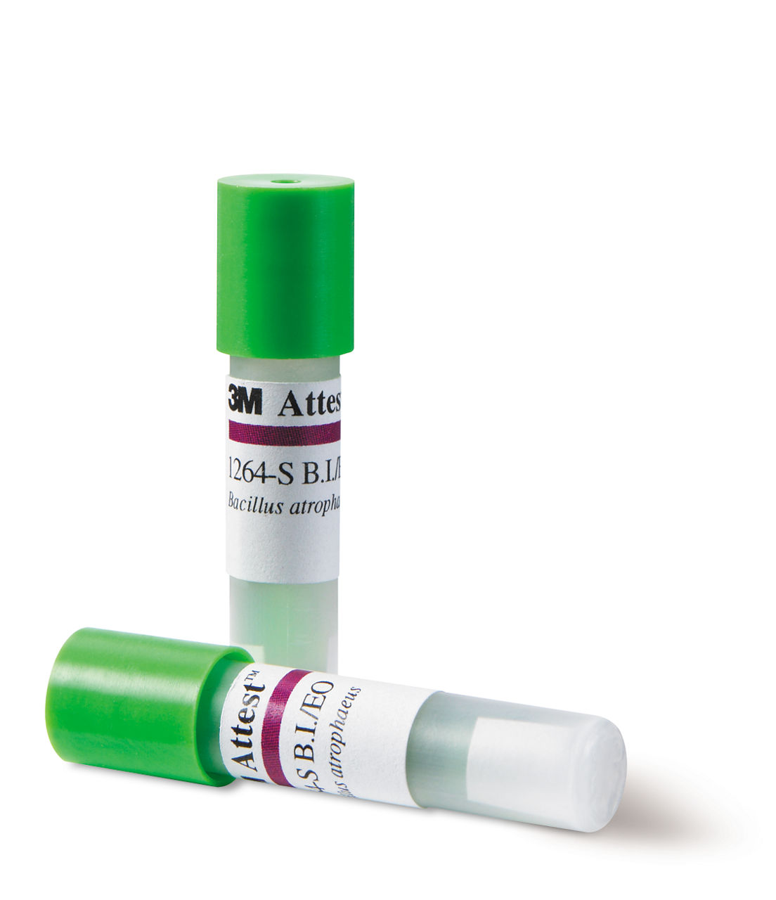 Attest™ Ethylene Oxide Biological Indicator, 1264-S
