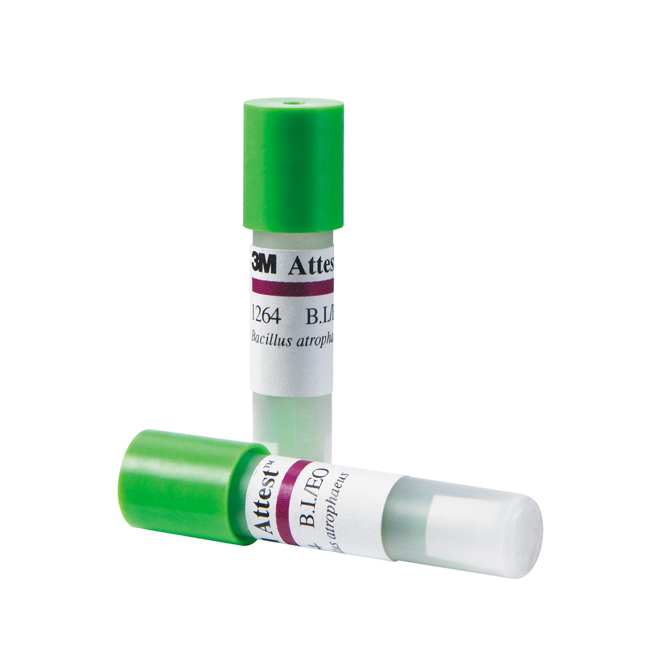 3M™ Attest™ Bio-Indikator, Ethylenoxid (EO), 1264, 100 Stück/Packung