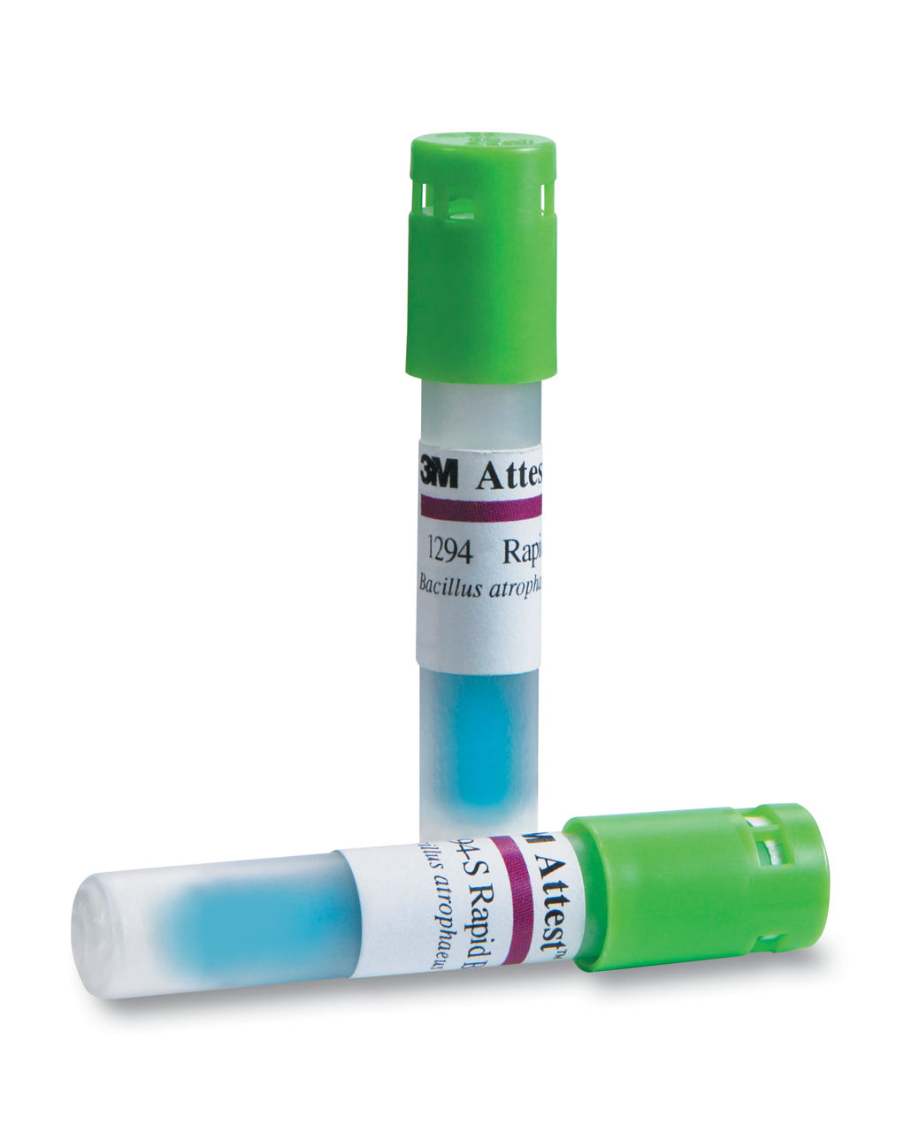 3M™ アテスト™ 短時間判定用生物学的インジケータ（E.O.ガス滅菌用）1294