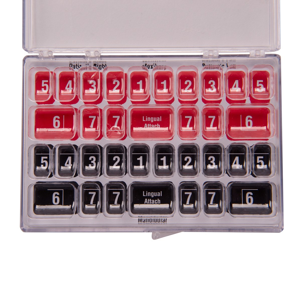 3M Unitek Modular Bond Kit Organizer