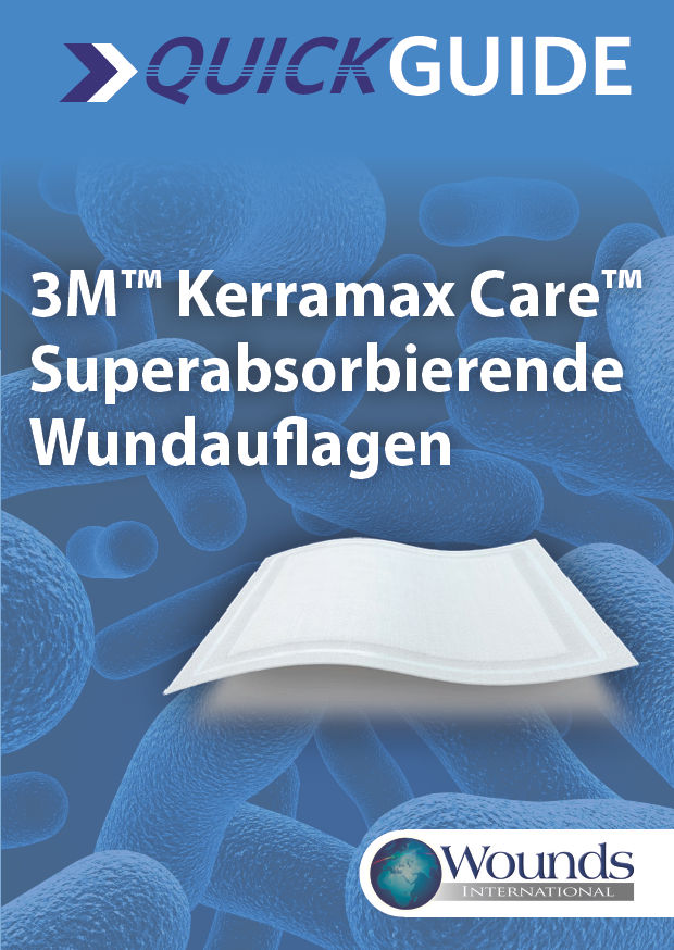 3M™ Kerramax Care™ Quick Guide DACH-de