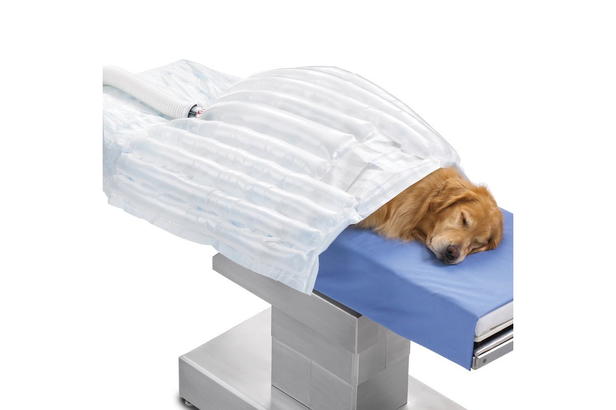 3M Bair Hugger Animal Health Overbody Blanket