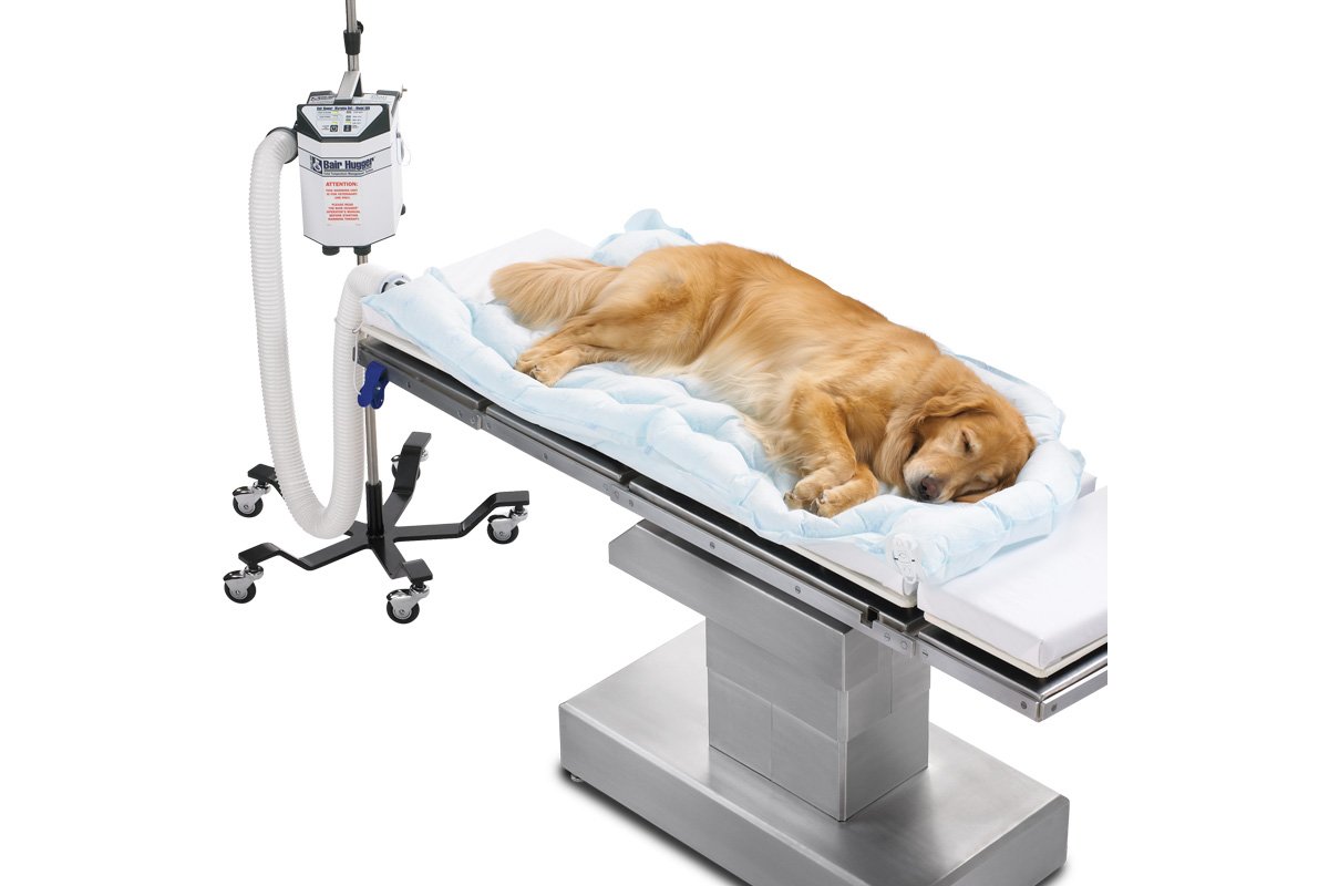 3M Bair Hugger Animal Health Underbody Blanket