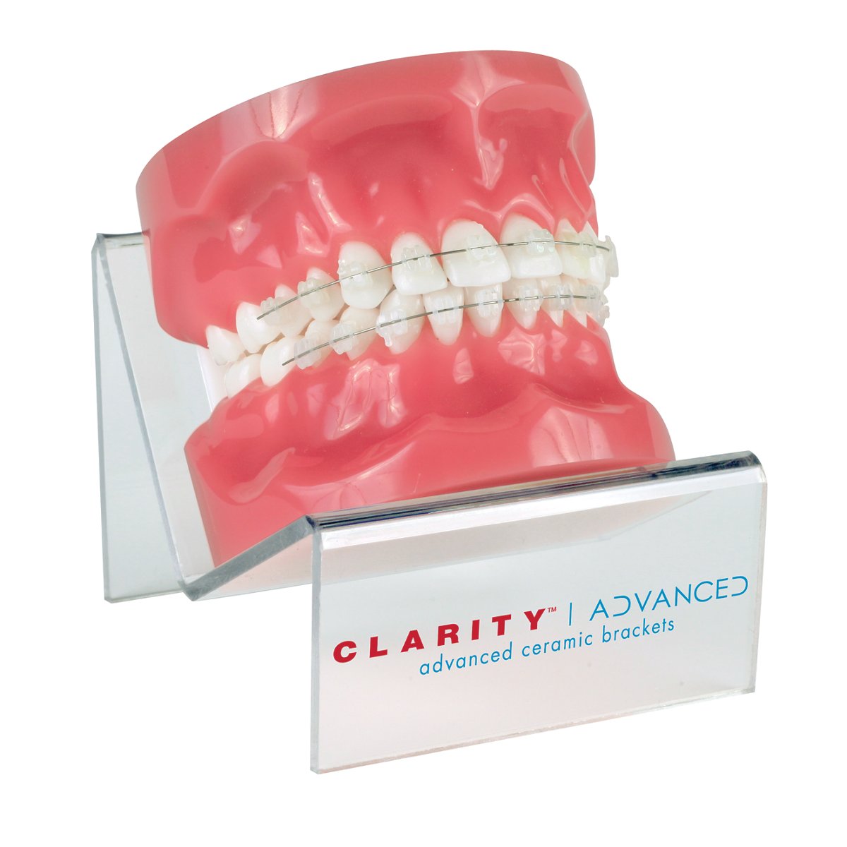 3M Typodont With Stand, Clarity Ceramic Brackets