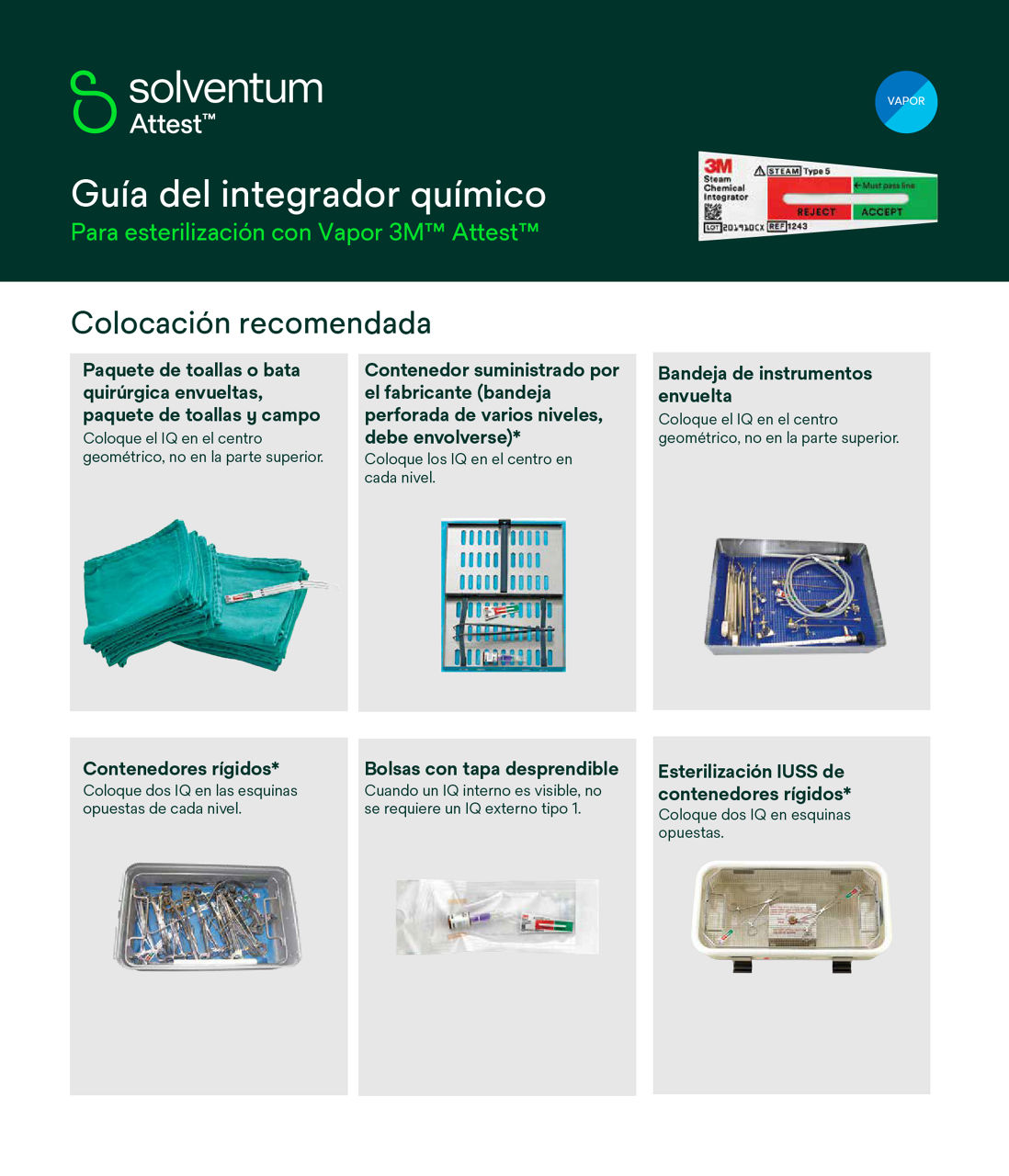 Vista previa de la guía del integrador químico Attest Steam