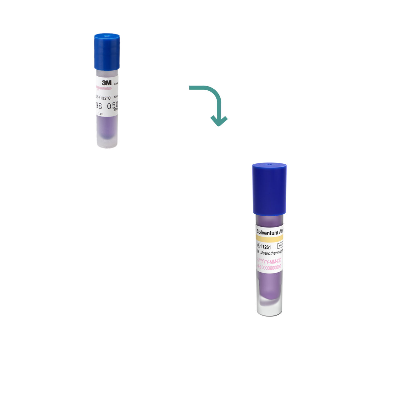 Attest bio-indikator für die dampfsterilisation, 1261