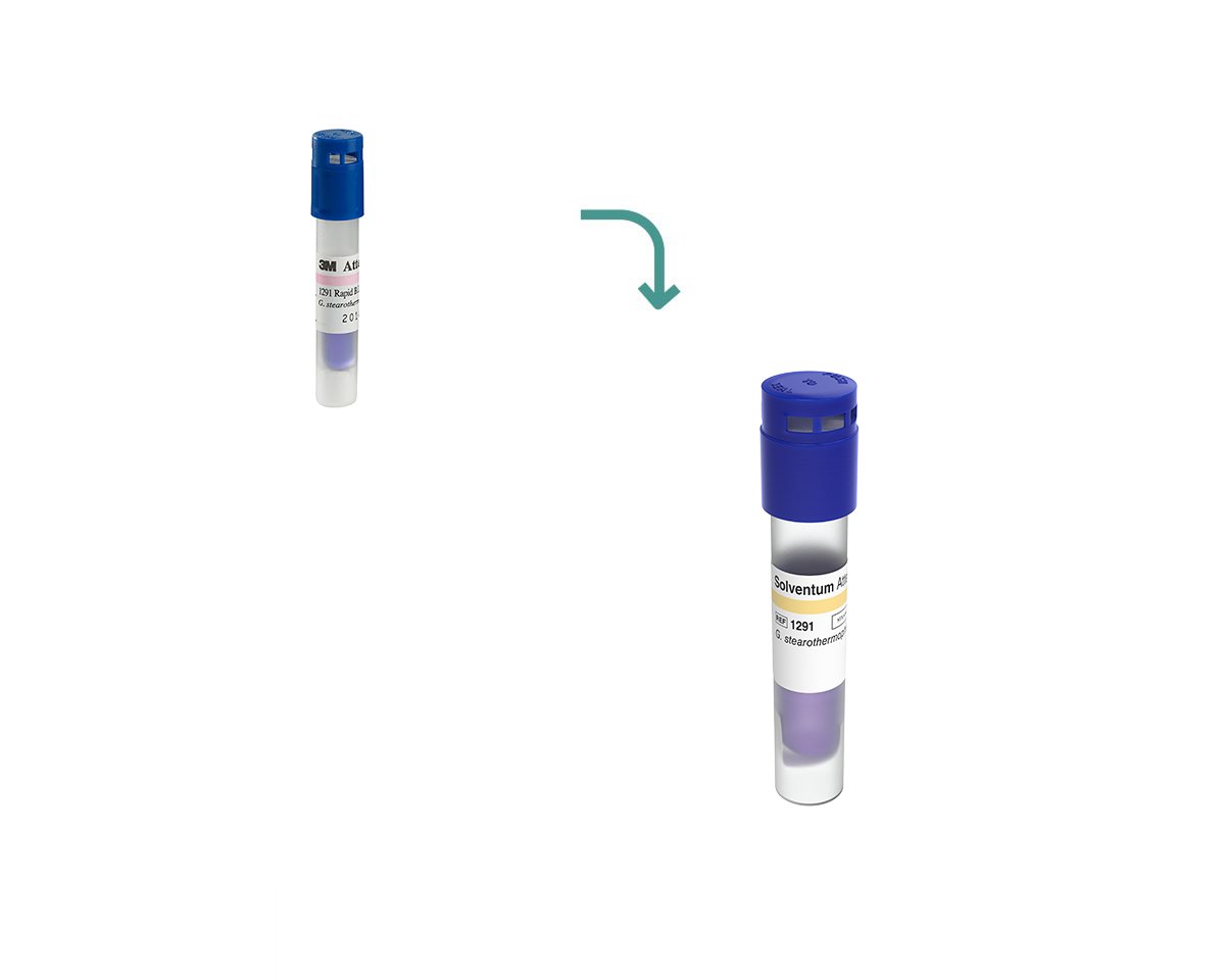 3M Attest Rapid Steam Biological Indicator, 1291, Blue Cap