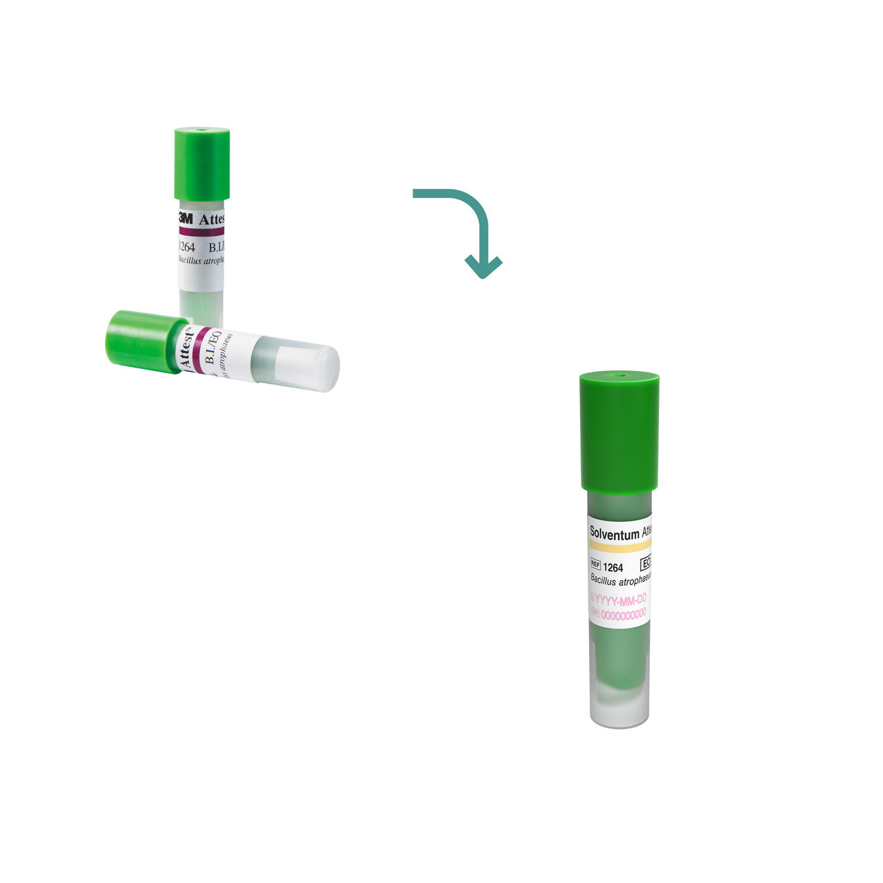Attest bio-indikator für die sterilisation mit ethylenoxid, 1264
