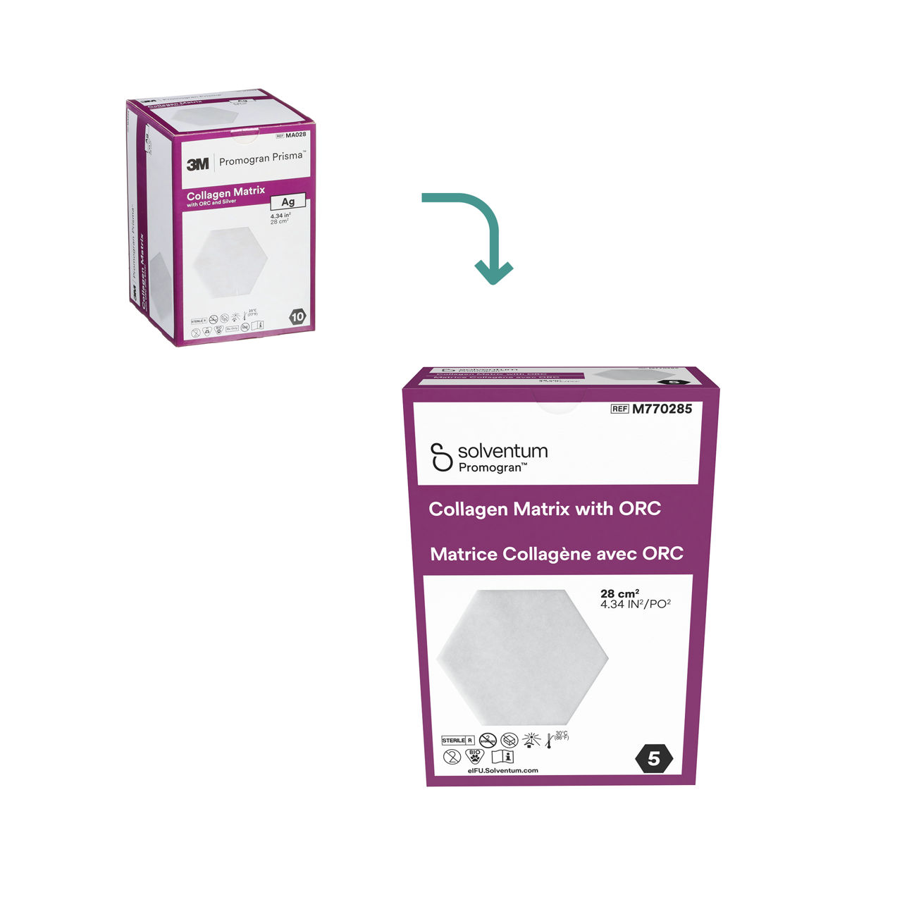 Promogran Protease Modulierende Matrix