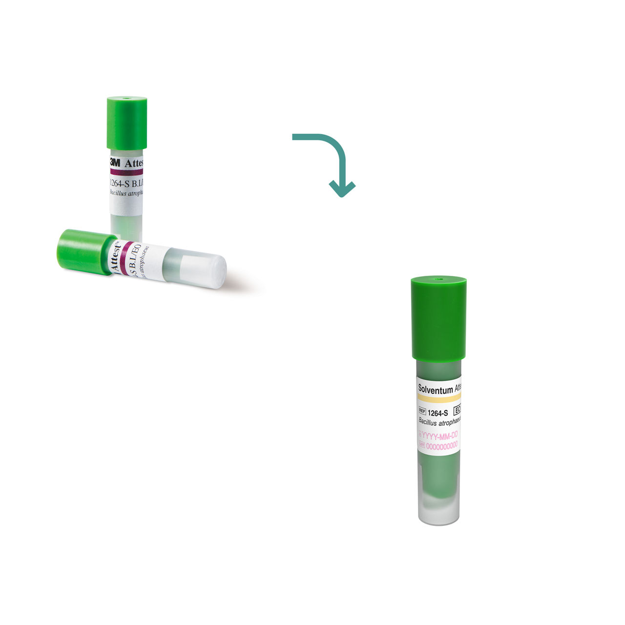 Indicateur biologique pour l’oxyde d’éthylène 1264 Attest™ 