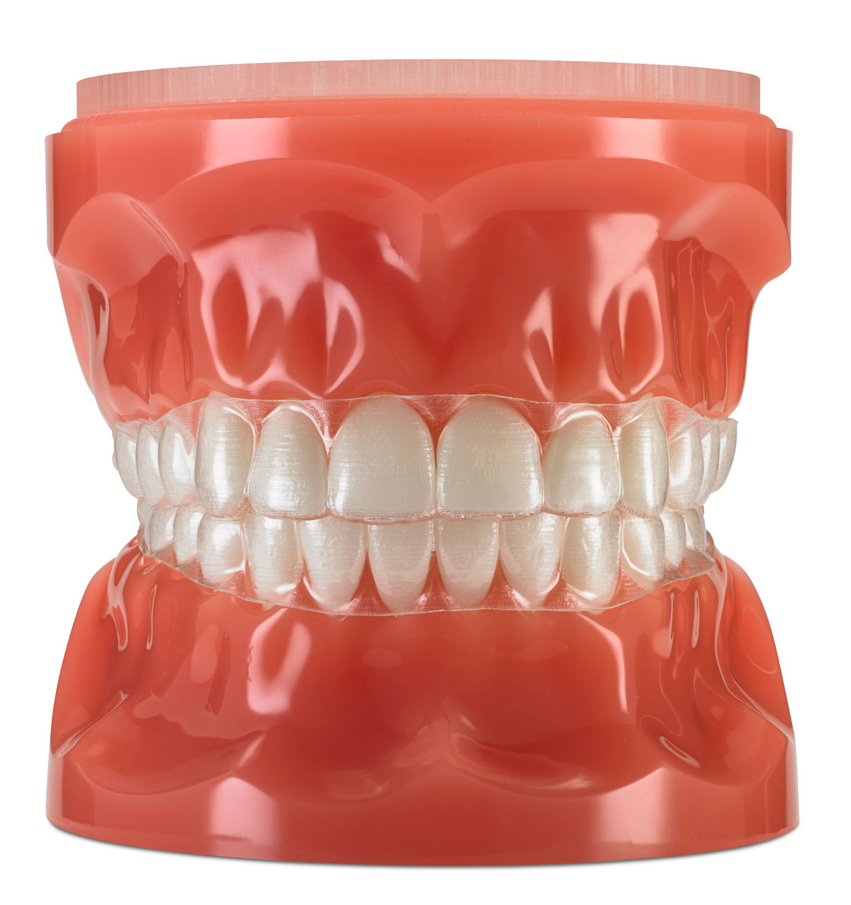 3M™ Typodont, Clarity Advanced Brackets Upper, Victory Series™ LowProfile Brackets Lower, 600-240, 1/Ea