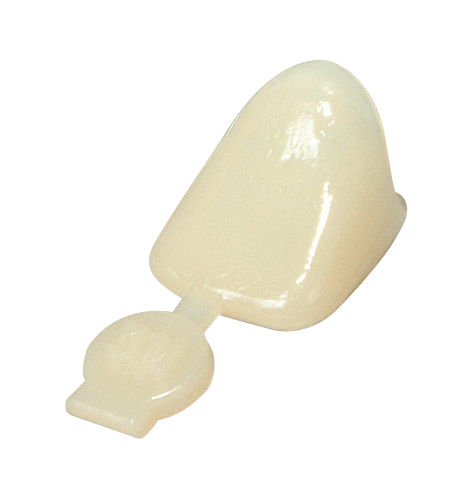 3M™ Polycarbonate Crowns Temporary Crowns for Anteriors and Bicuspid