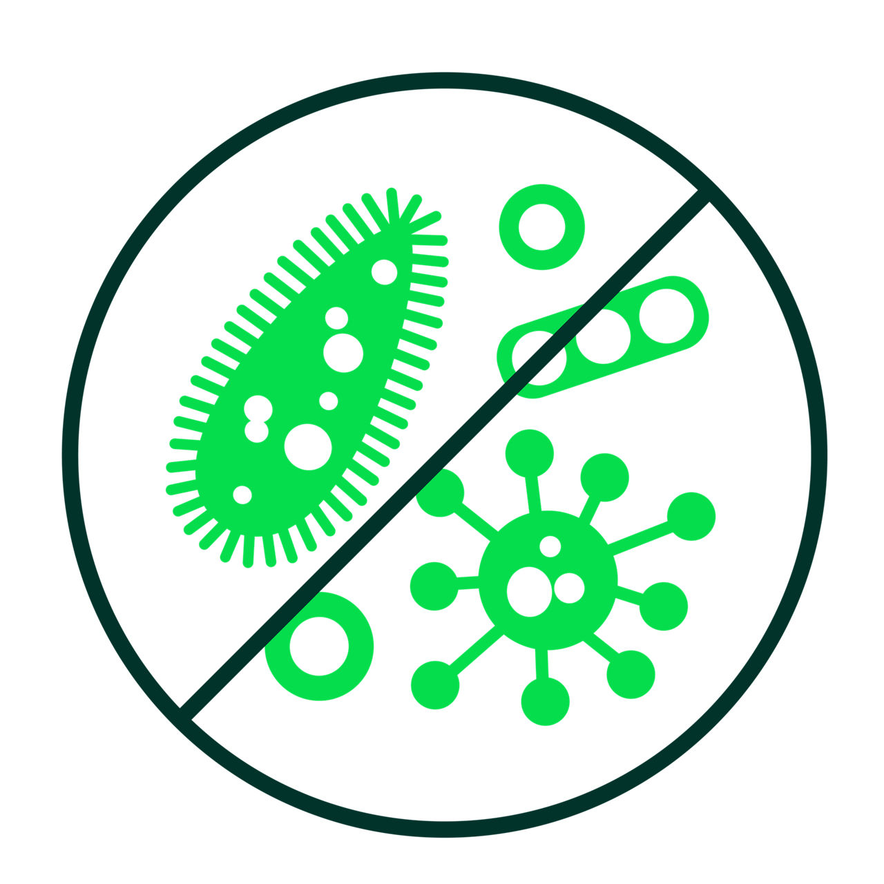 Immobilizes bacteria