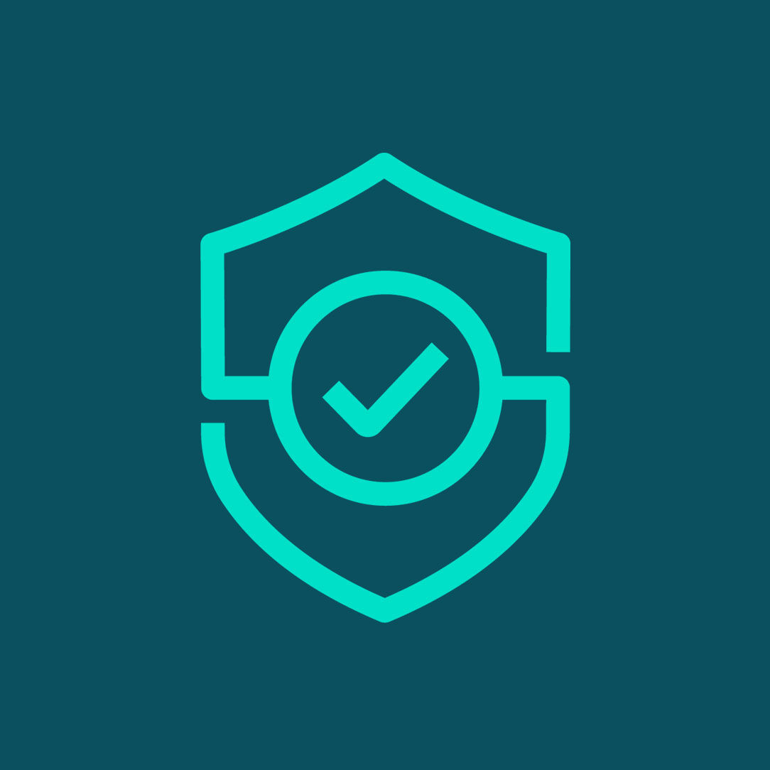 Icon of a checkmark shield