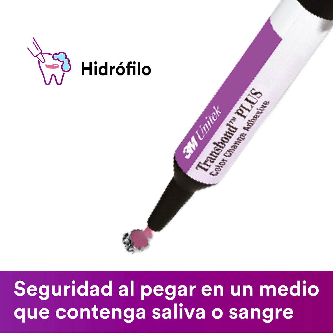 Imagenes SP para E-Commerce 8