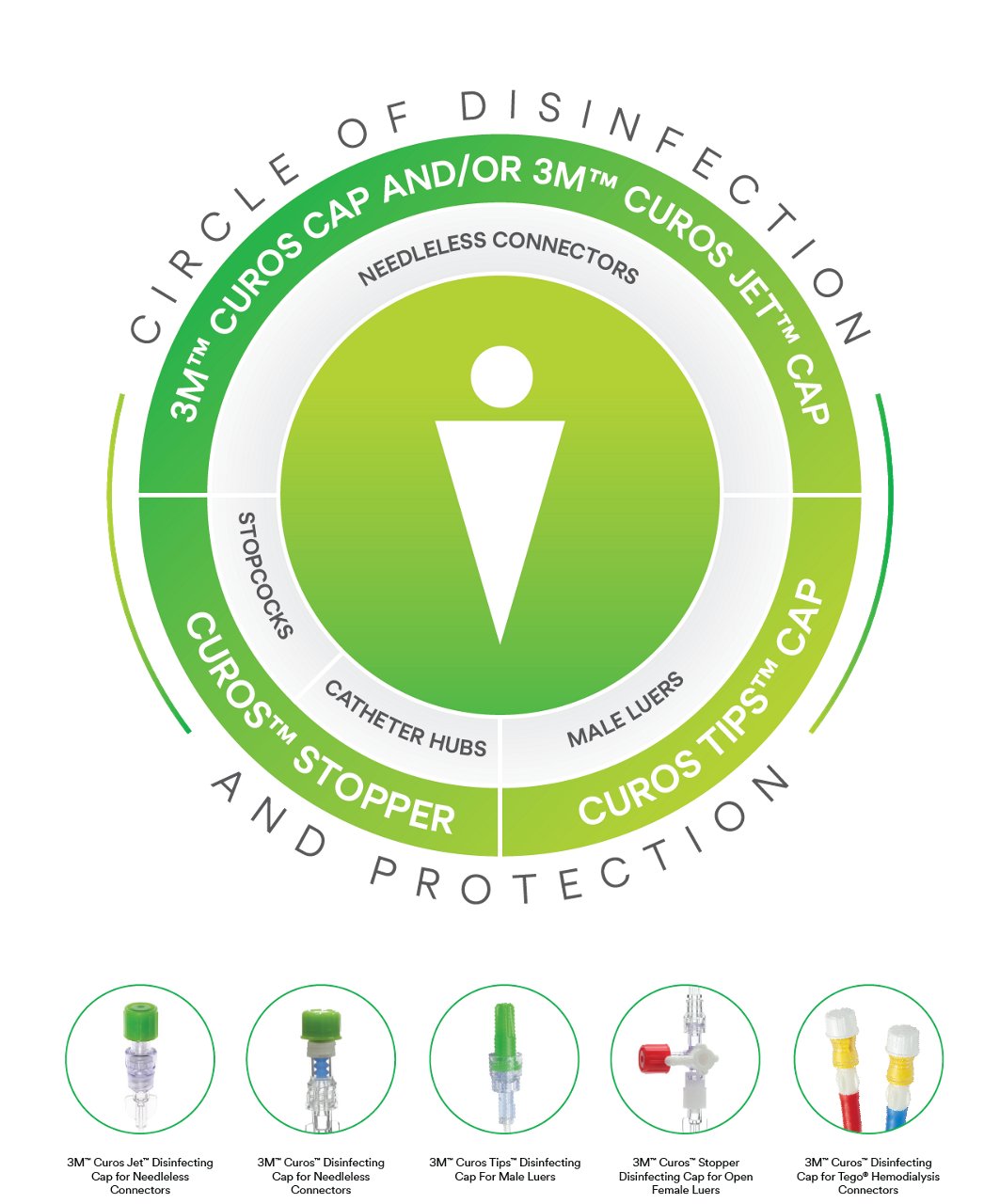 Infografía del círculo de desinfección y prevención, cuidados