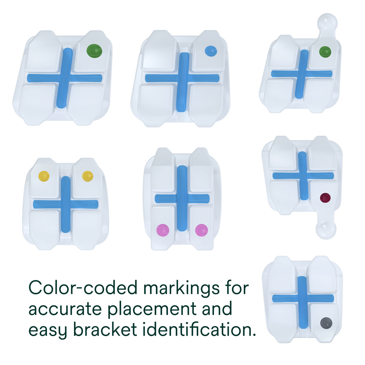 (3) Clarity Advanced Ceramic Brackets: Color-coded markings for identification
