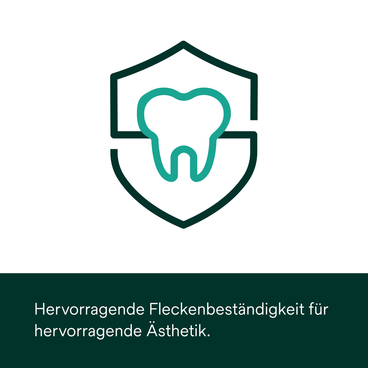 (3) Clarity Attachment Material : Hervorragende Fleckenbeständigkeit für hervorragende Ästhetik.