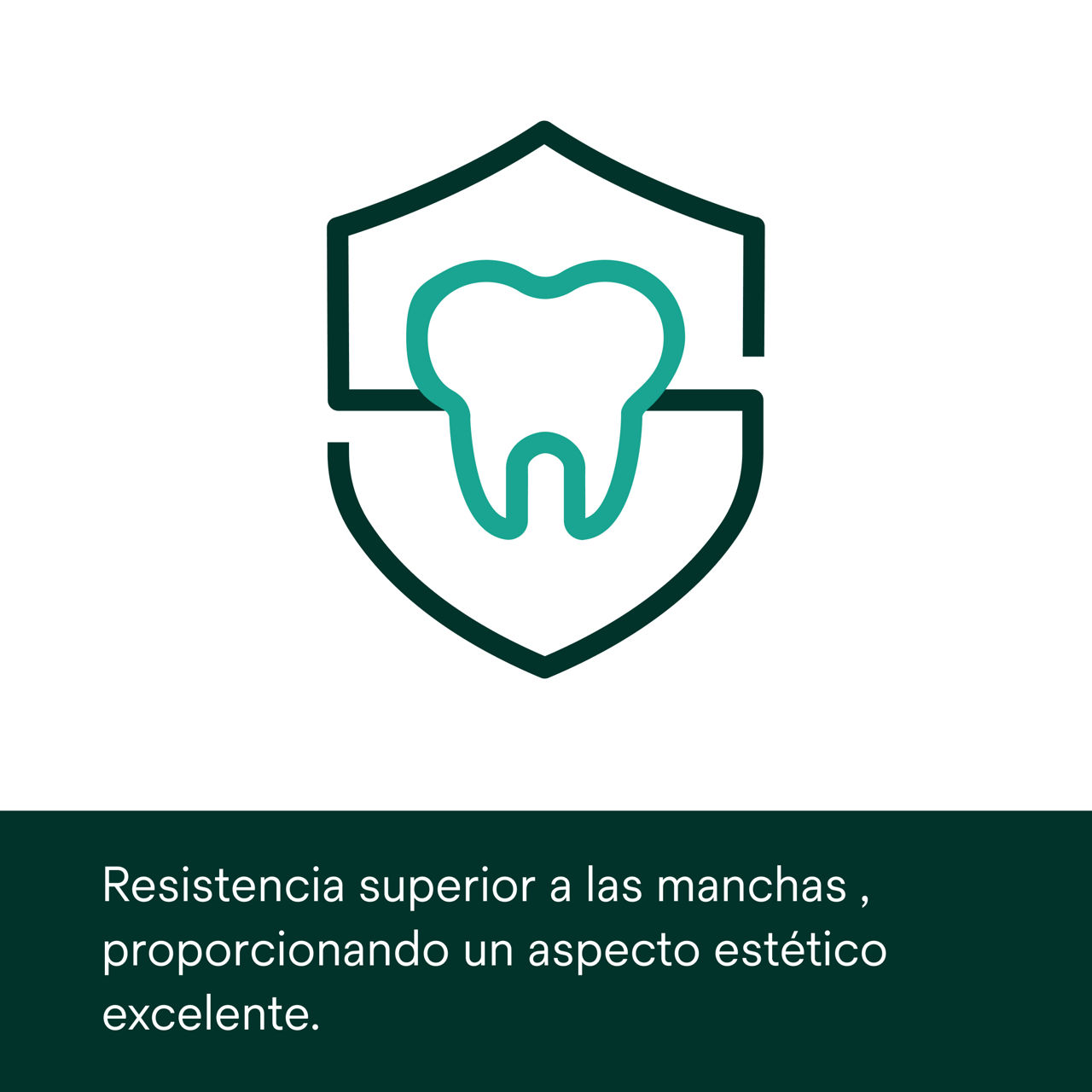 (3) Material Clarity Attachment: Resistencia superior a las manchas