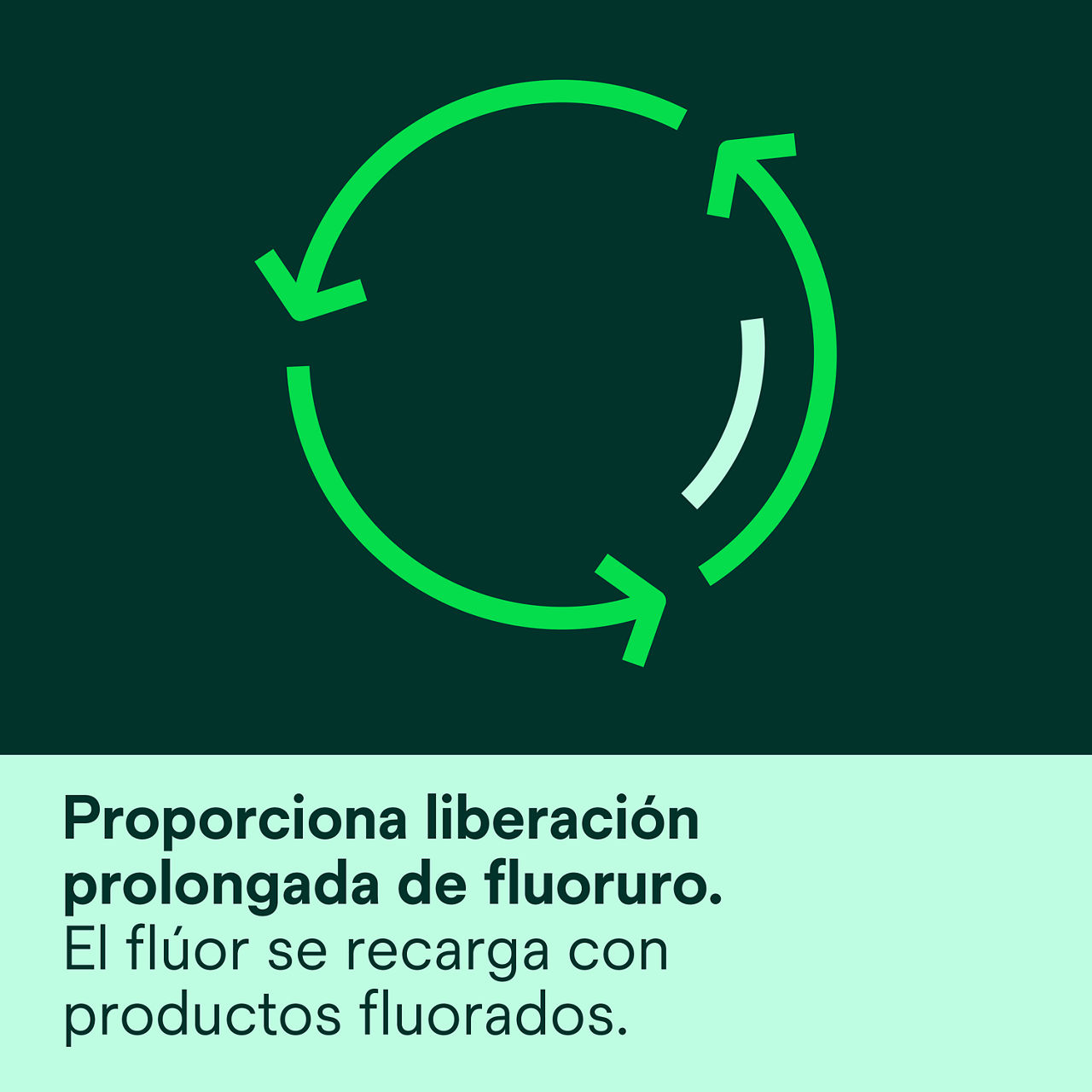 (3) Clinpro™ XT Barniz: Proporciona liberación prolongada de fluoruro.