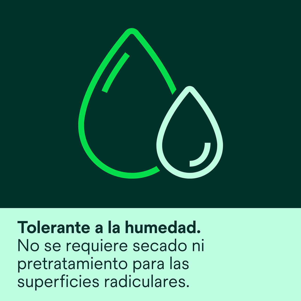 (4) Clinpro XT Barniz: Tolerante a la humedad, no necesita secado o pretratamiento de las superficies radiculares.