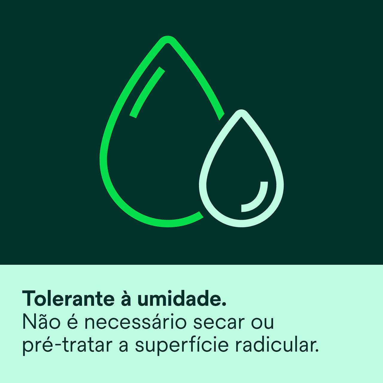 (4) Clinpro XT Verniz: Tolerante à umidade - não é necessário secagem ou pré-tratamento para superfícies radiculares