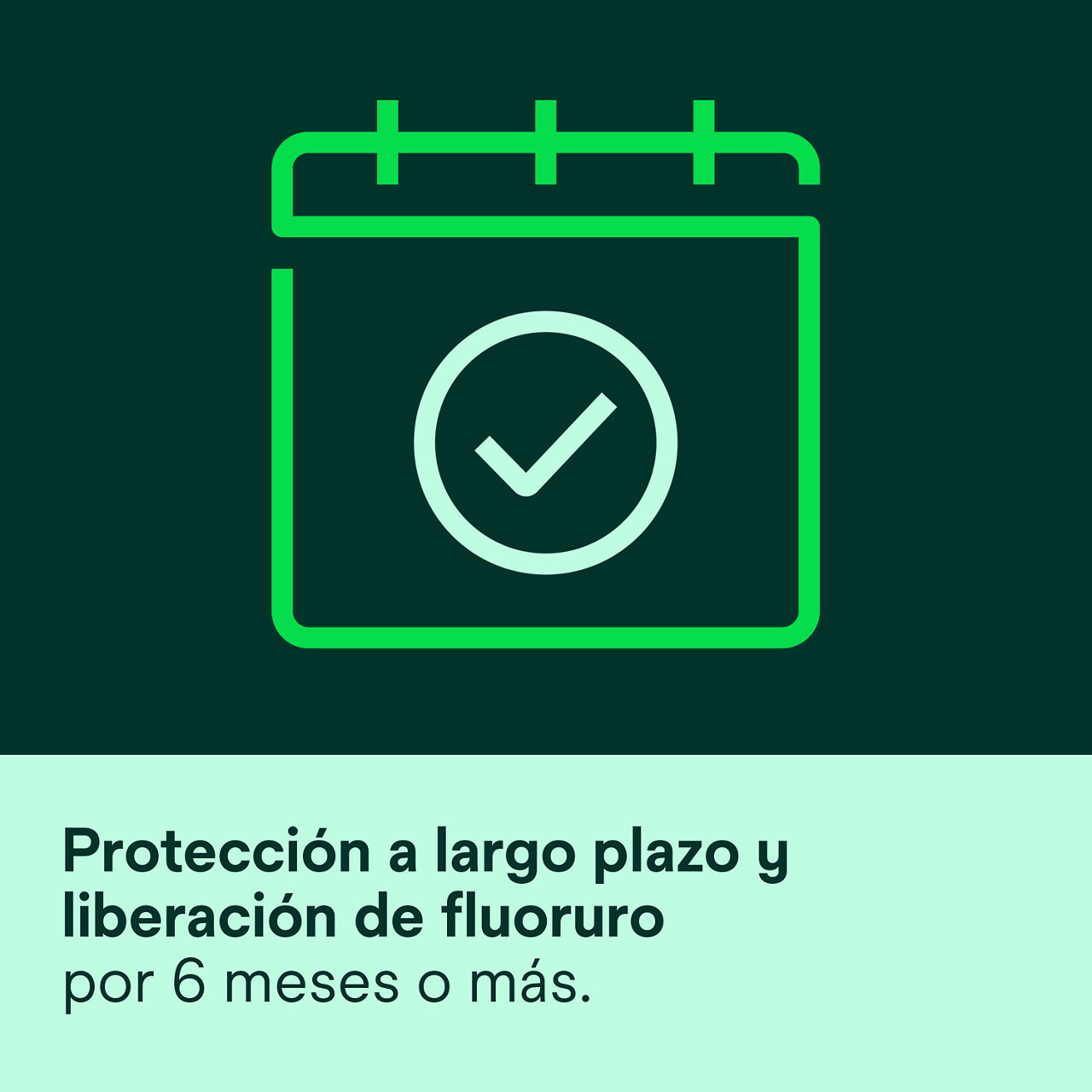 (6) Clinpro XT Barniz: Protección duradera y suministro de fluoruro por 6 meses o más.