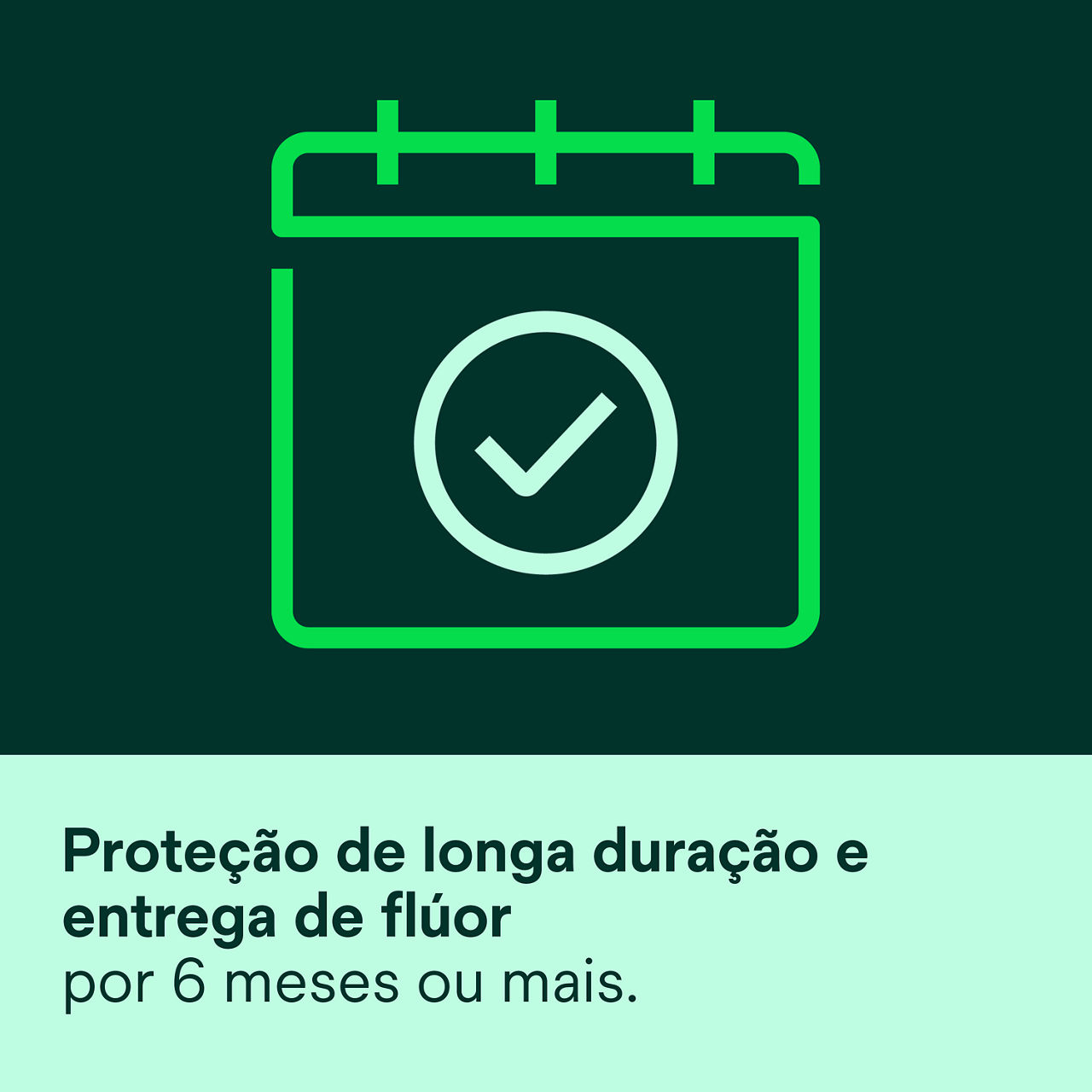 (6) Clinpro XT Verniz: Proteção de longo prazo e liberação de fluoreto por 6 meses ou mais.