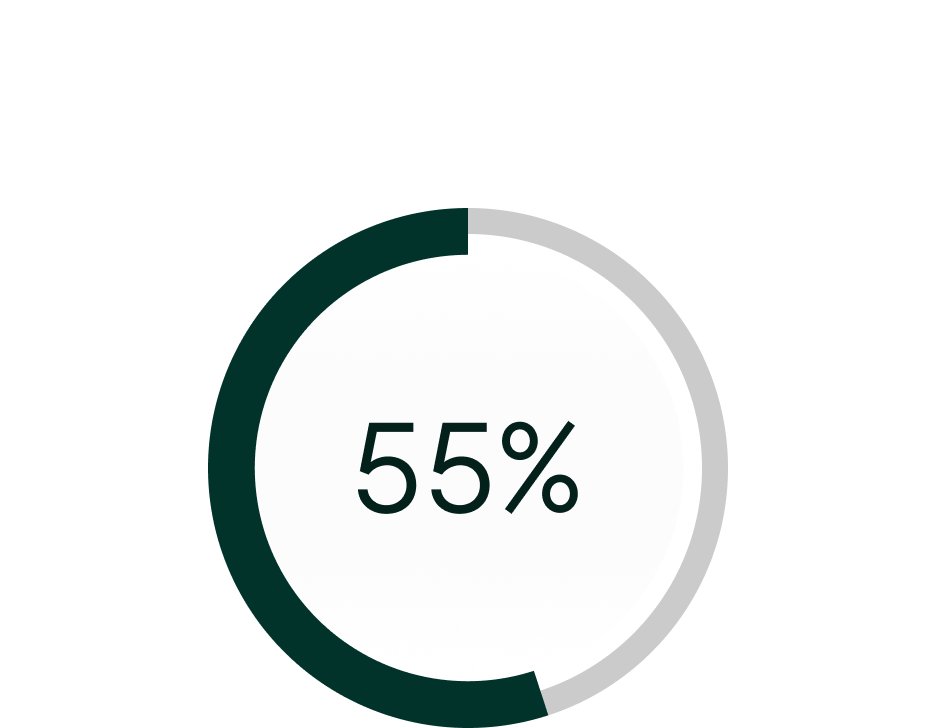 55% Donut-Visualisierungsillustration