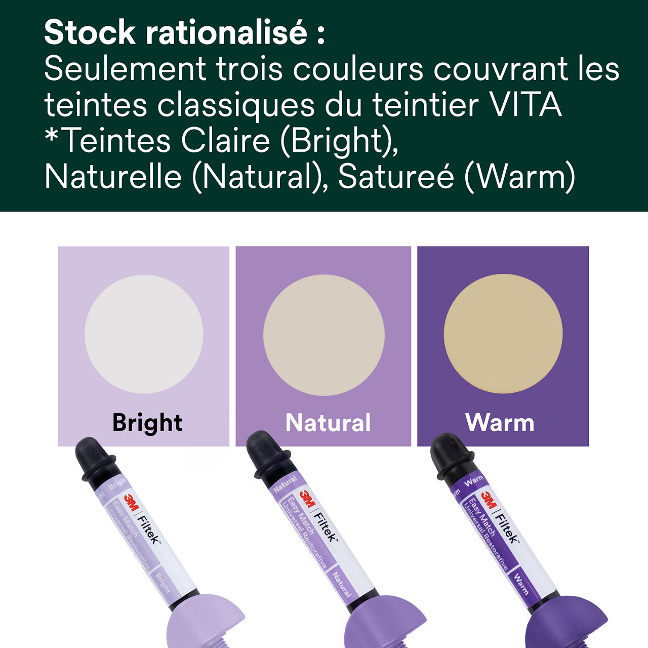 (1) Filtek™ Easy Match Universal Restorative Stock rationalisé  seringues Bplus 5