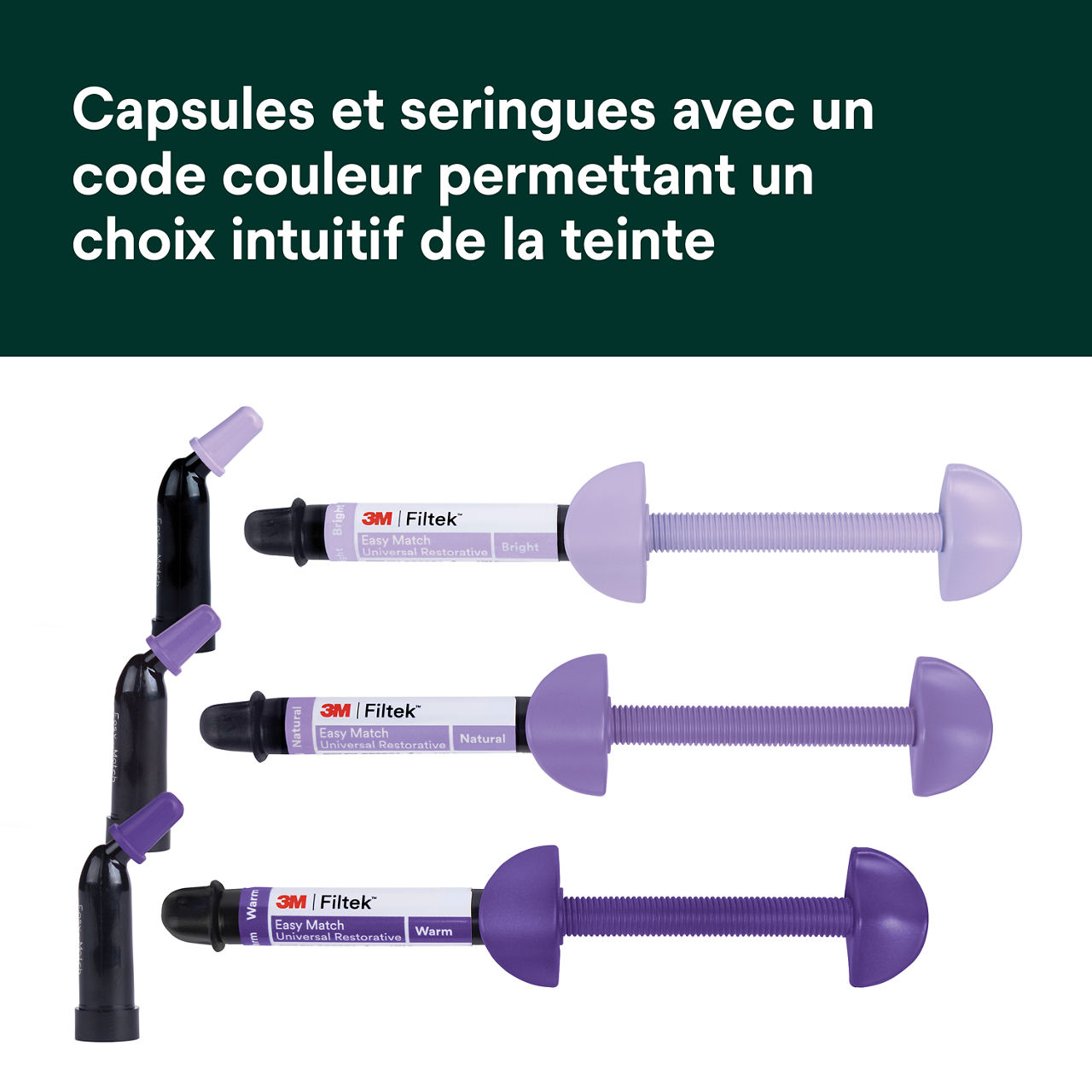 (2) Filtek™ Easy Match Universal Restorative Capsules et seringues avec un code  Bplus 6