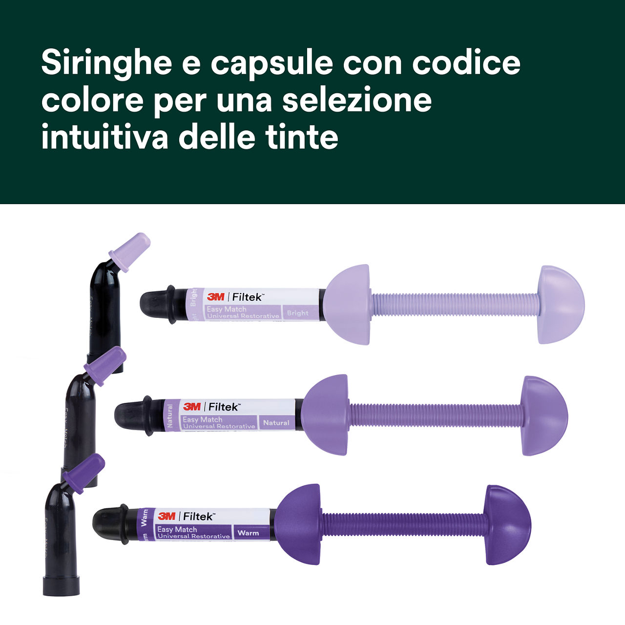 (2) Filtek™ Easy Match Universal Restorative Siringhe e capsule con codice colore Bplus 6