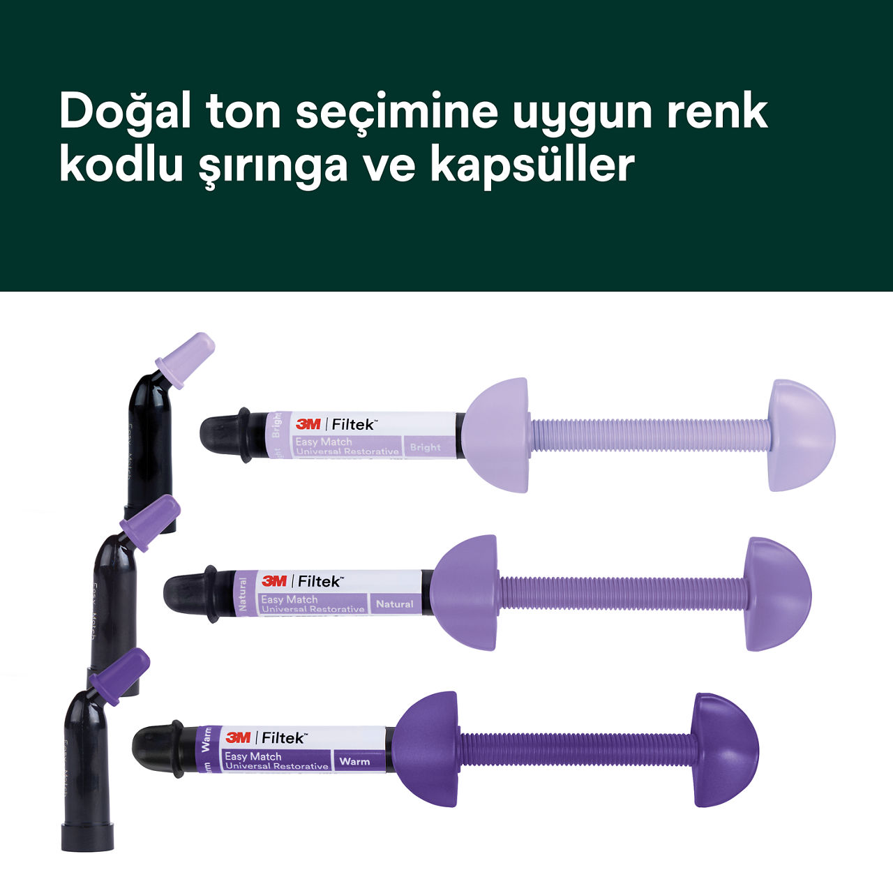 (2) Filtek™ Easy Match Universal Restoratif Renk kodlu şırınga ve kapsüller Bplus 6