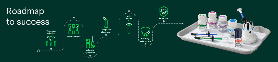 Roadmap to Success