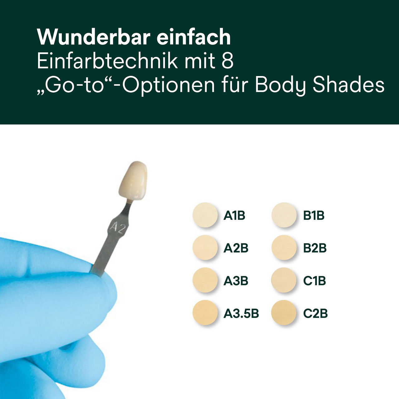 5- Filtek Supreme XTE: Wunderbar einfach