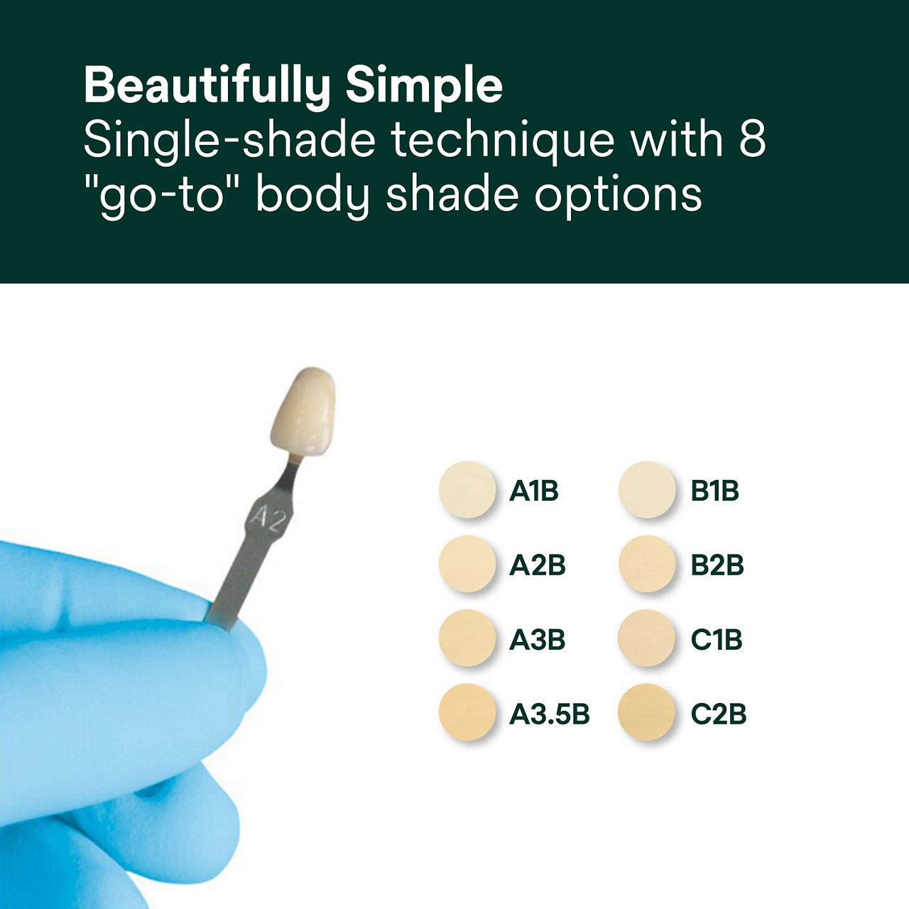 (5) Filtek Supreme XTE Universal: Beautifully Simple