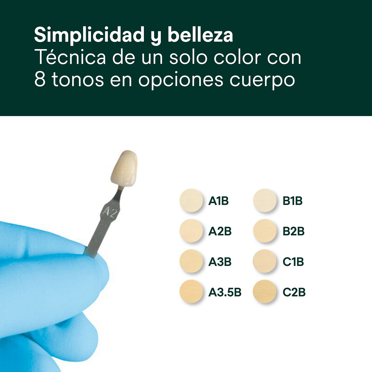 5- Filtek Supreme XTE: Simplicidad y belleza