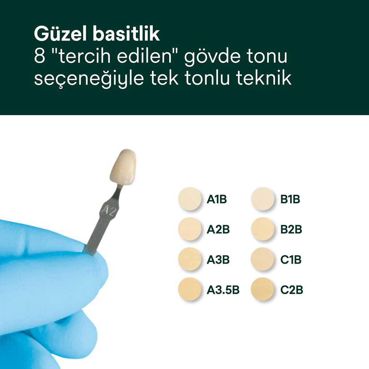 4- Filtek Ultimate Universa Güzel basitlik