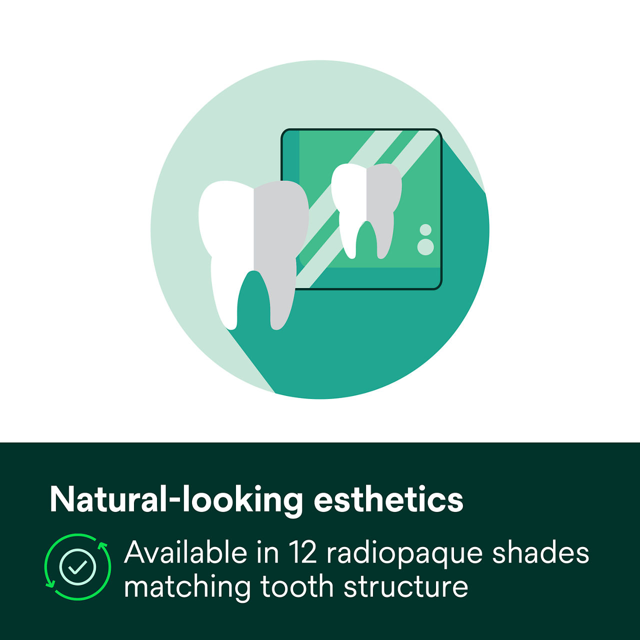 (4) Filtek Z250 Universal: Natural-looking esthetics