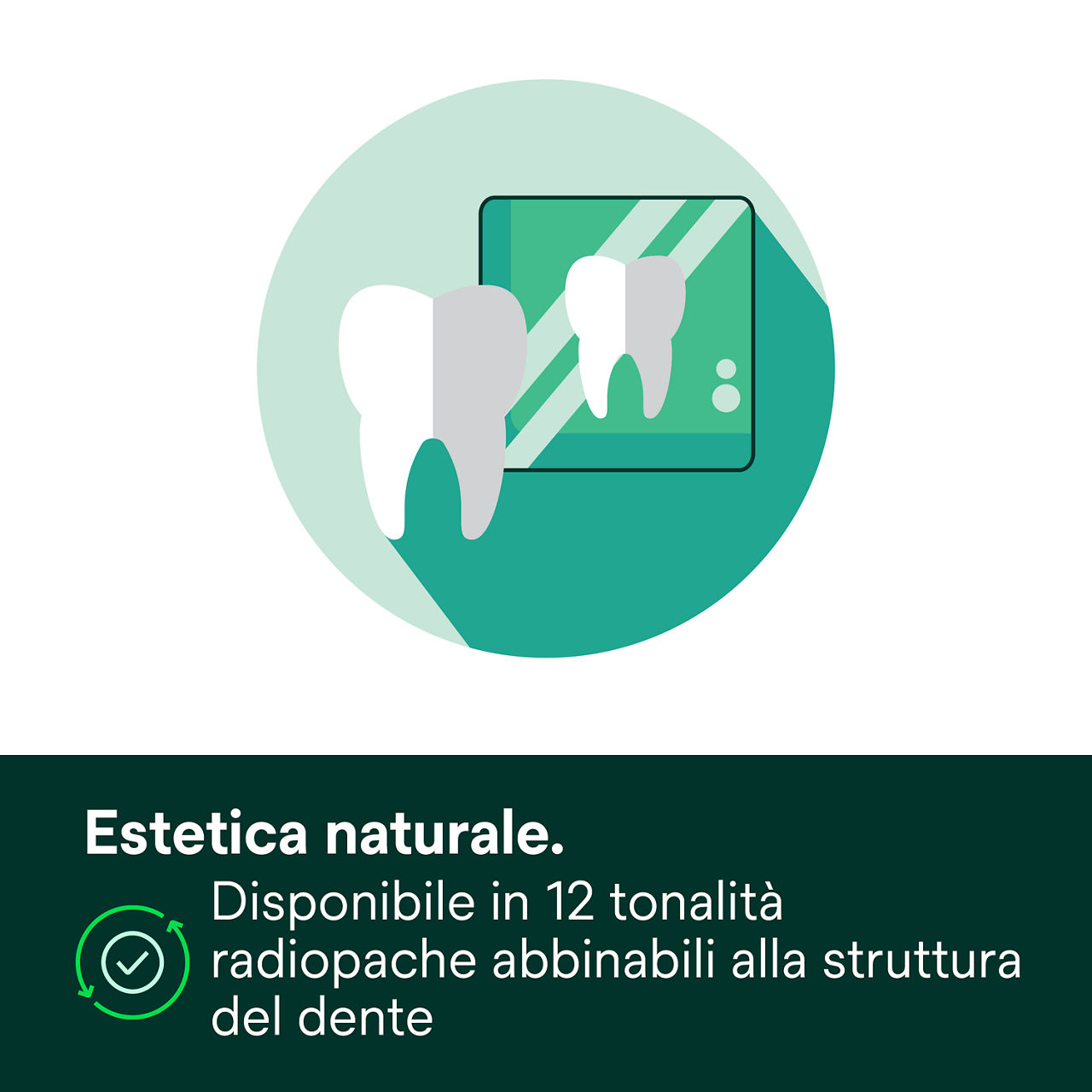 4- Filtek Z250 Universal: Estetica naturale. Disponibile in 12 tonalità radiopache