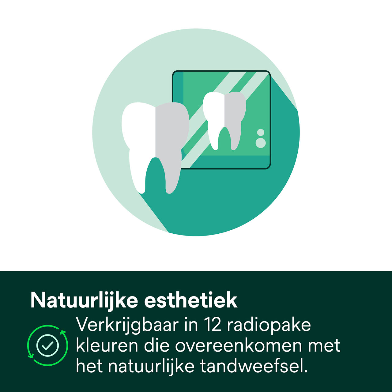 4- Filtek Z250 Universal: Natuurlijke esthetiek.