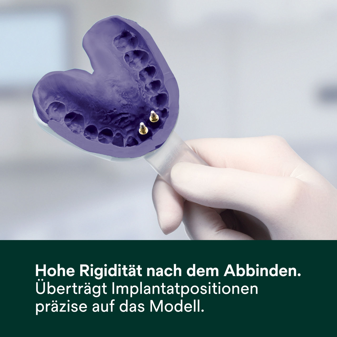 (5) Impregum™ - Hohe Rigidität nach dem Abbinden.
