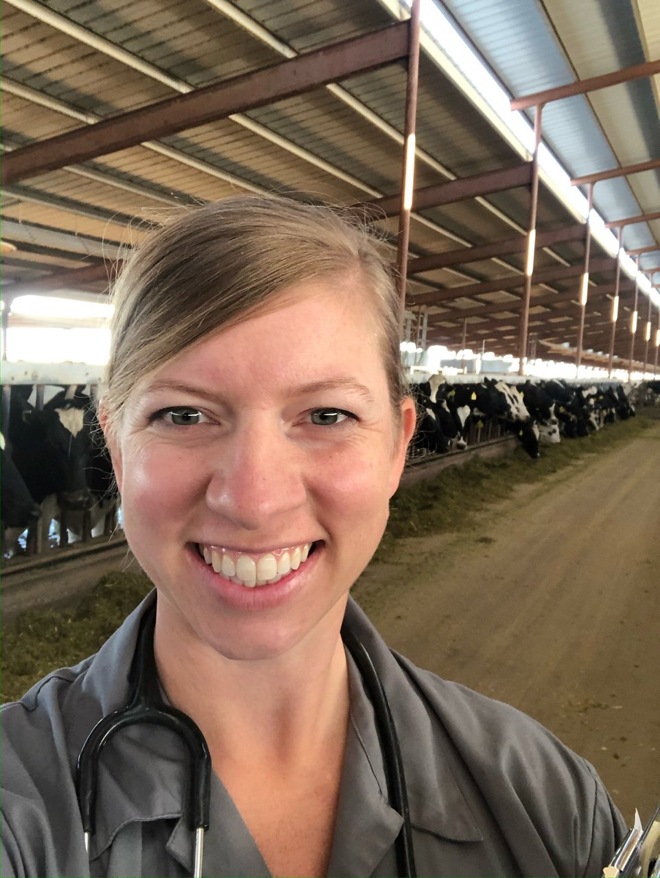 Image used in Animal health essentials article. Michelle Schack DVM provides veterinary services for livestock with a focus on animal well-being, health, productivity, and food safety.