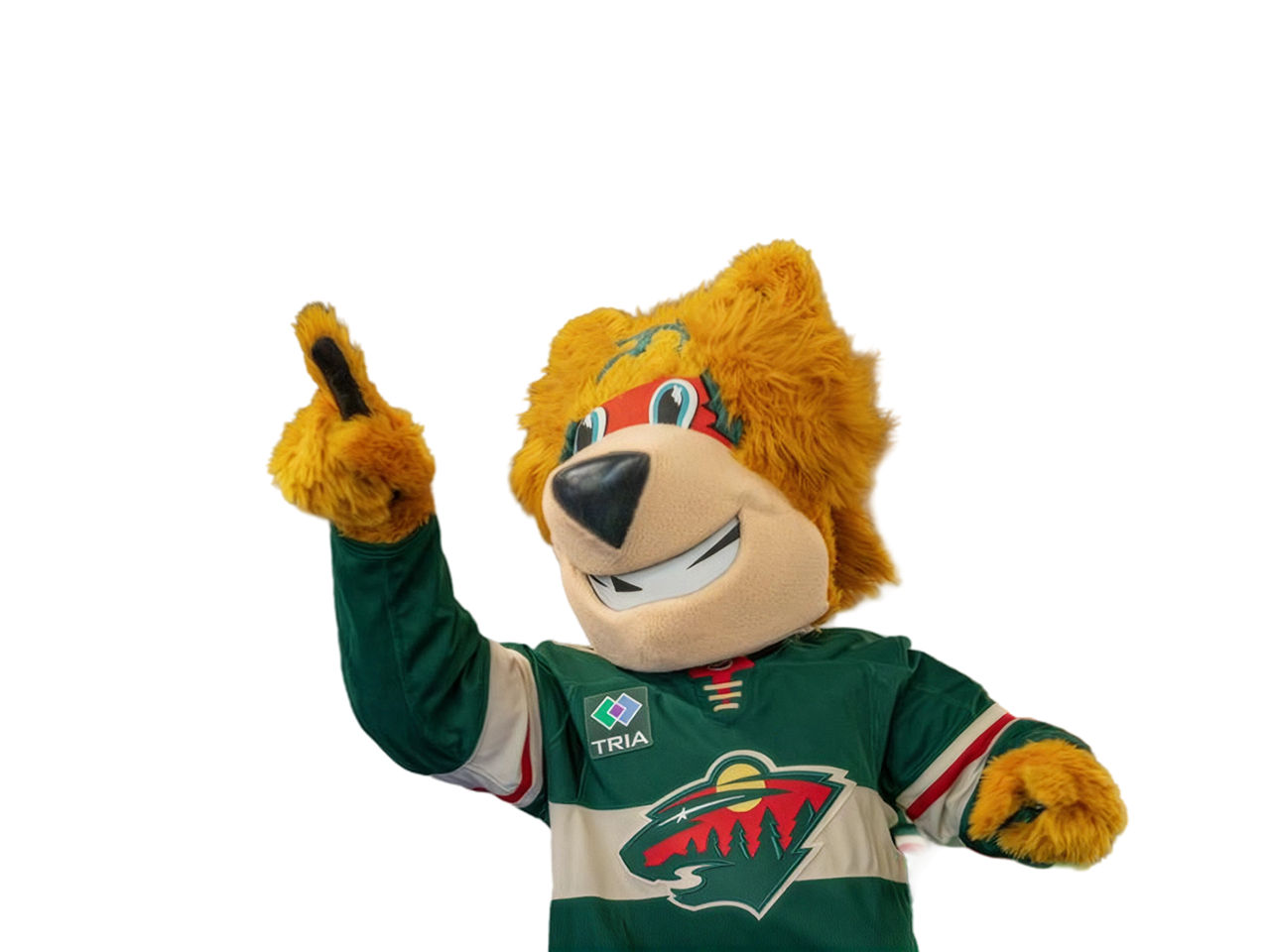 Knockout transparent-background image of Nordy; the Minnesota Wild NHL mascot; representing the Solventum partnership with the Minnesota Wild.