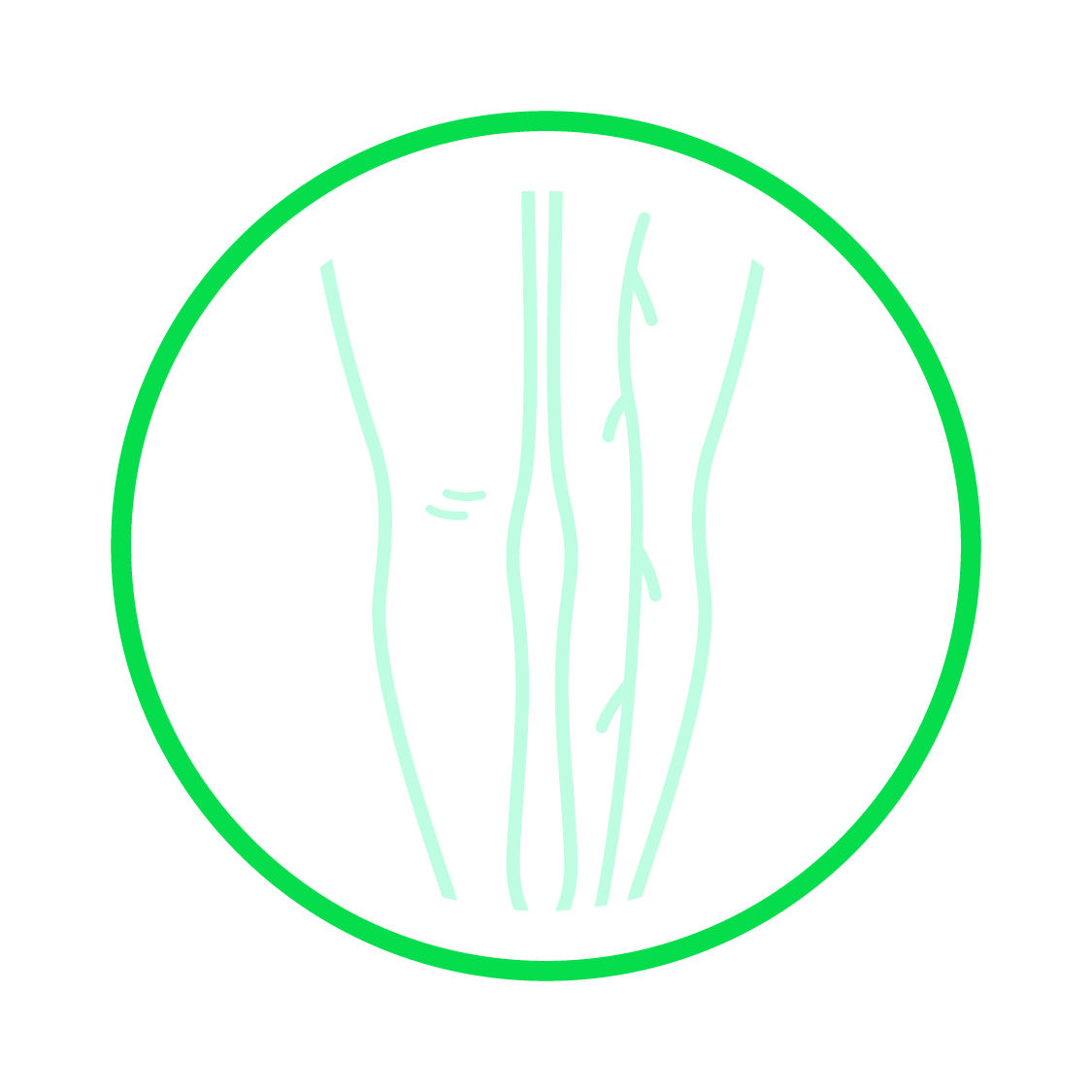 Icon illustrating prevena vascular - light green