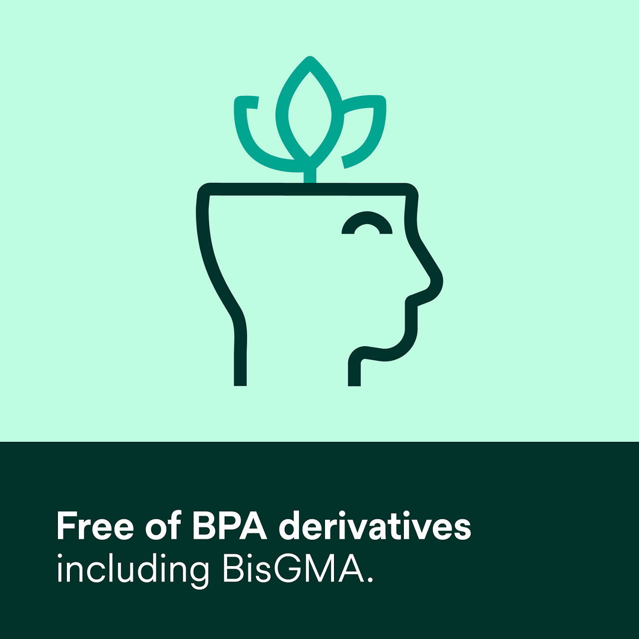 (5) Scotchbond Universal Plus Adhesive: Free of BPA derivatives including BisGMA