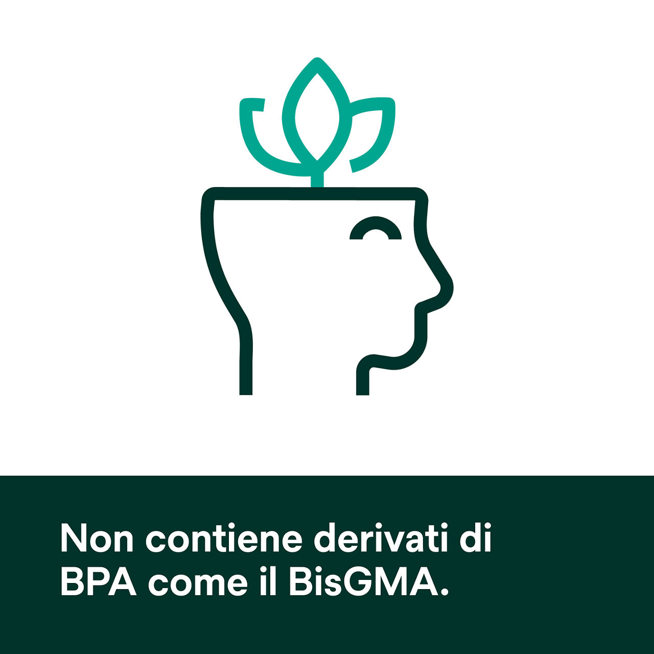 (5) Scotchbond Adesivo Universale Plus: Privo di derivati del BPA, incluso il BisGMA