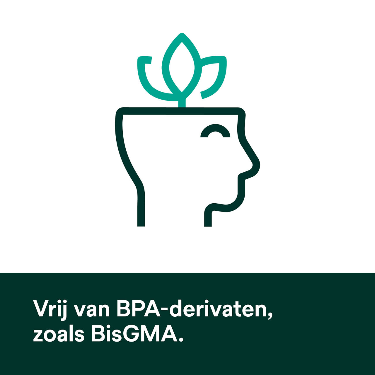 (5) Scotchbond Universal Plus Adhesief: Vrij van BPA-derivaten, inclusief BisGMA.
