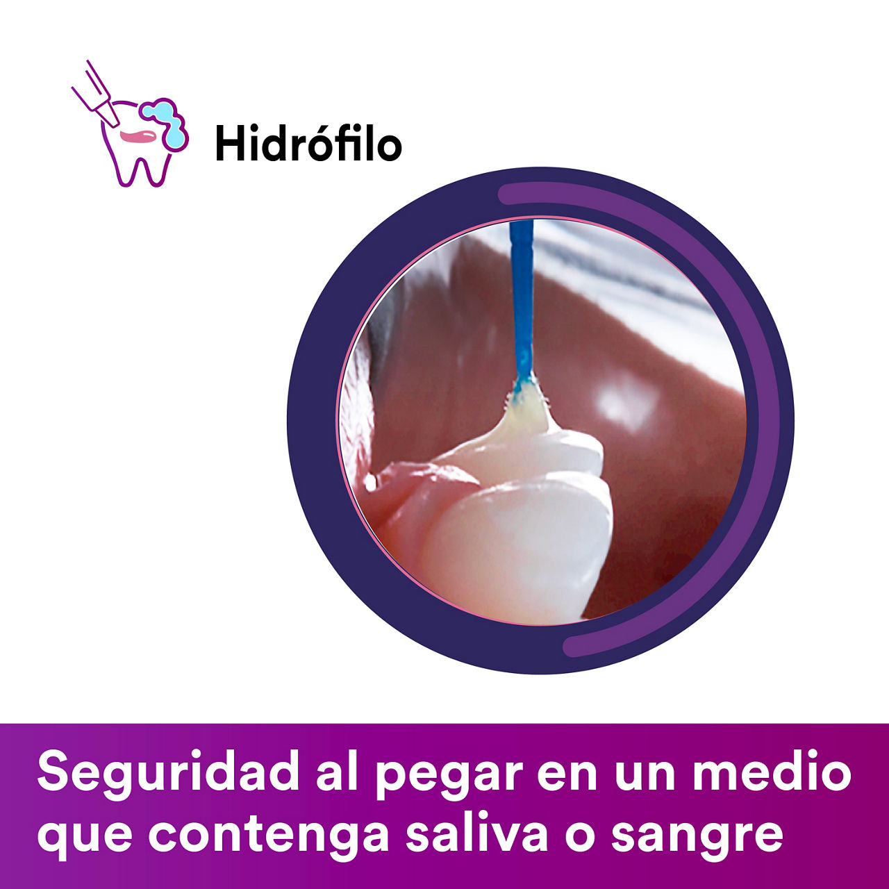 Imagenes SP para E-Commerce 31