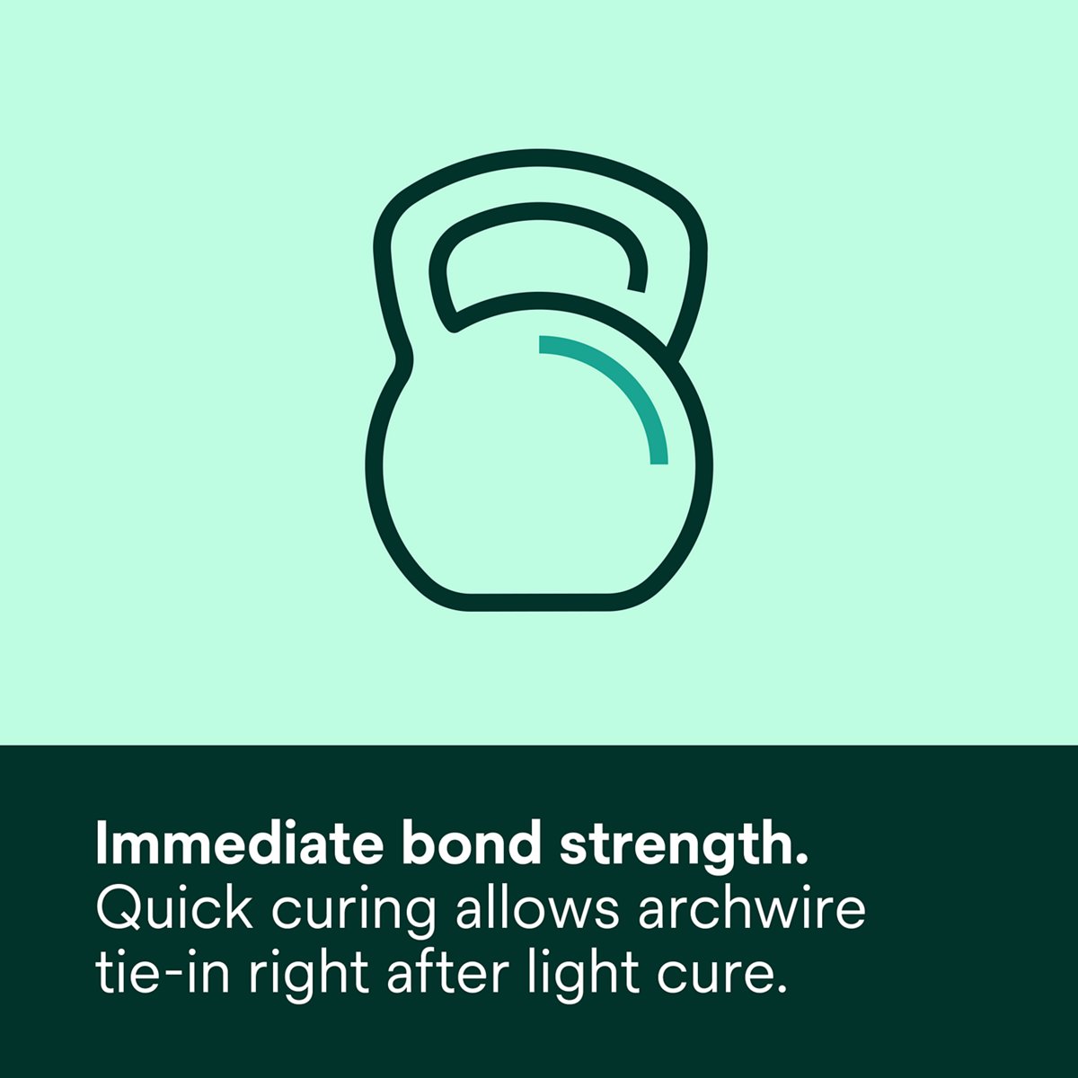 3M Transbond XT Light Cure Adhesive